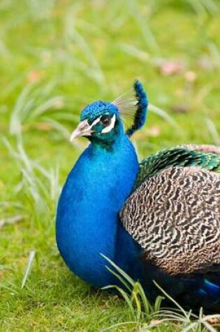 Cover of Male Peafowl Peacock, Birds of the World