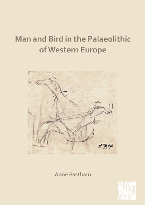 Book cover for Man and Bird in the Palaeolithic of Western Europe