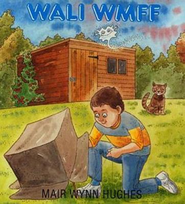 Book cover for Wali Wmff
