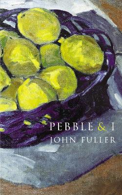 Book cover for Pebble & I