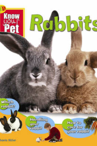 Cover of Rabbits