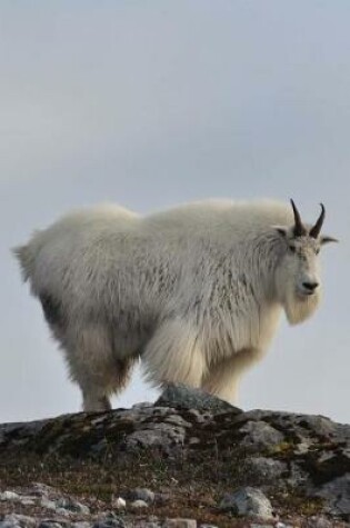 Cover of White Mountain Goat on the Clifftop Nature Journal