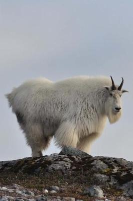 Book cover for White Mountain Goat on the Clifftop Nature Journal