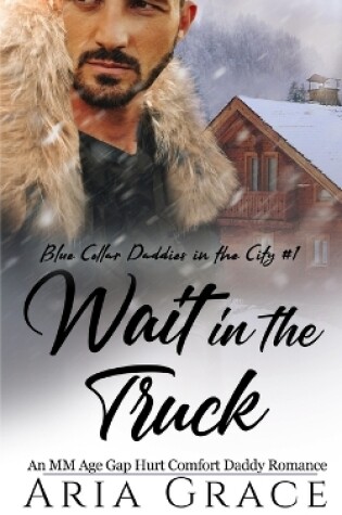 Cover of Wait in the Truck