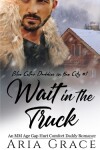 Book cover for Wait in the Truck