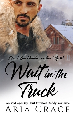 Book cover for Wait in the Truck