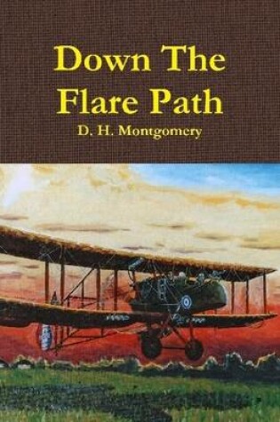 Cover of Down the Flare Path