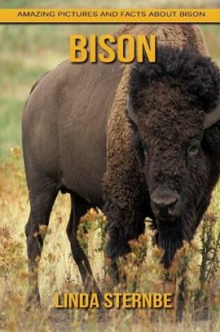 Cover of Bison