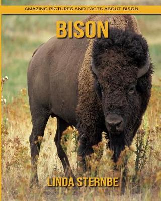 Book cover for Bison