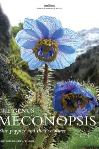 Cover of Genus Meconopsis, The