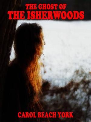 Book cover for The Ghost of the Isherwoods