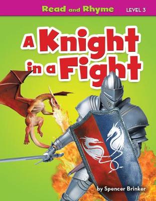 Book cover for A Knight in a Fight