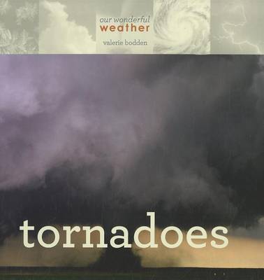 Book cover for Tornadoes