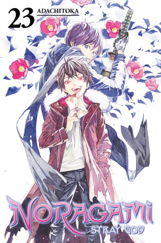 Book cover for Noragami: Stray God 23