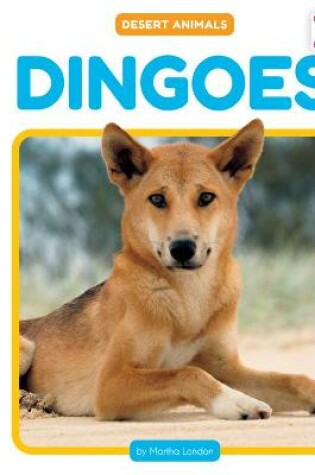 Cover of Dingoes