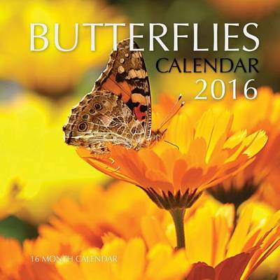 Book cover for Butterflies Calendar 2016