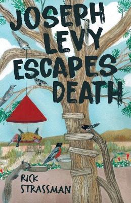 Book cover for Joseph Levy Escapes Death