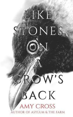Book cover for Like Stones on a Crow's Back