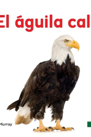 Cover of El águila calva (Bald Eagle)