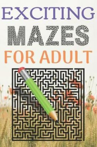 Cover of Exciting Mazes For Adult