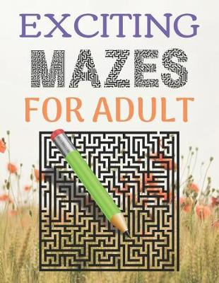 Book cover for Exciting Mazes For Adult