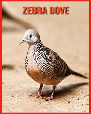 Book cover for Zebra Dove