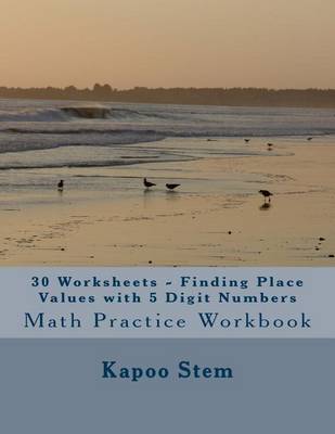 Book cover for 30 Worksheets - Finding Place Values with 5 Digit Numbers