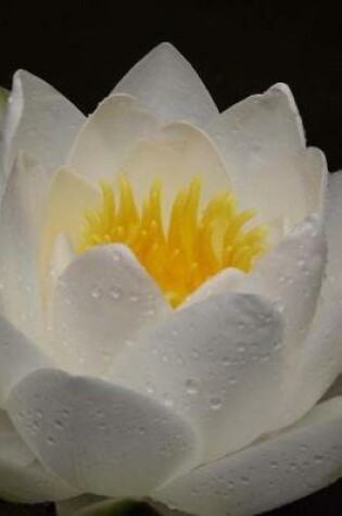 Cover of White Water Lily Covered in Morning Dew Journal