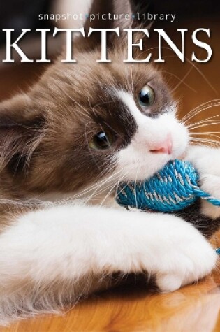 Cover of Kittens