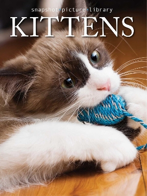 Cover of Kittens