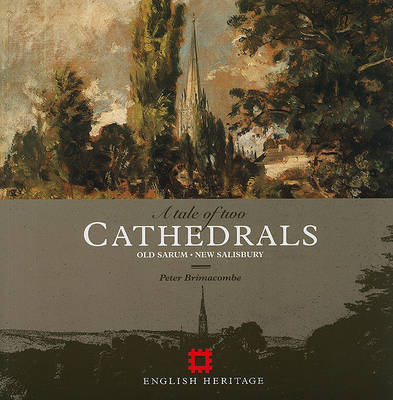 Book cover for A Tale of Two Cathedrals