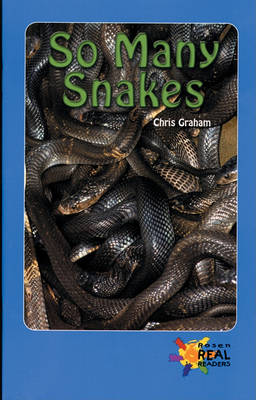 Book cover for So Many Snakes