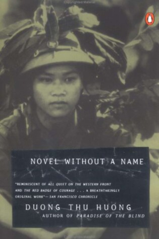 Cover of Novel without a Name