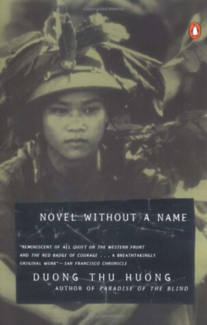 Book cover for Novel without a Name