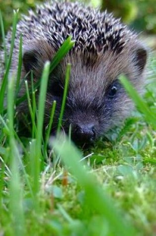 Cover of Hedgehog Marching Through the Grass Journal