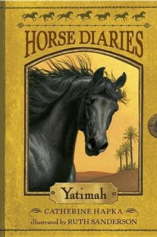 Cover of Horse Diaries #6: Yatimah