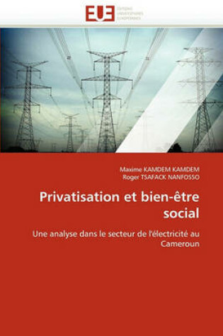 Cover of Privatisation Et Bien- tre Social