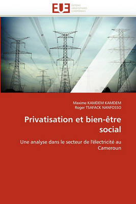 Book cover for Privatisation Et Bien- tre Social