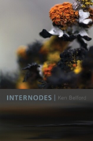 Cover of Internodes