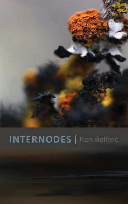 Book cover for Internodes