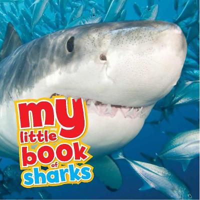 Cover of My Little Book of Sharks