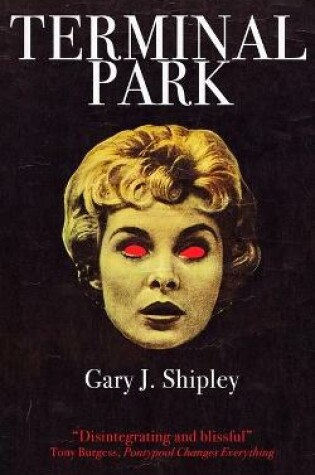 Cover of Terminal Park