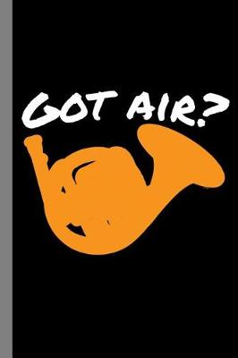 Book cover for Got Air?