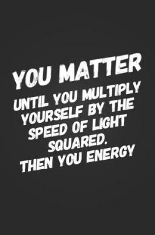 Cover of You Matter, Until You Multiply Yourself By The Speed Of Light Squared. Then You Energy