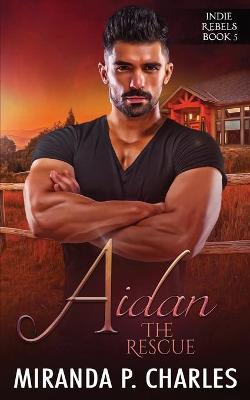 Book cover for Aidan