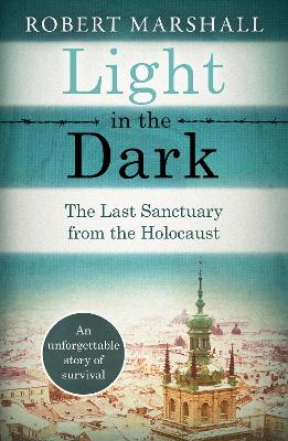 Book cover for Light in the Dark