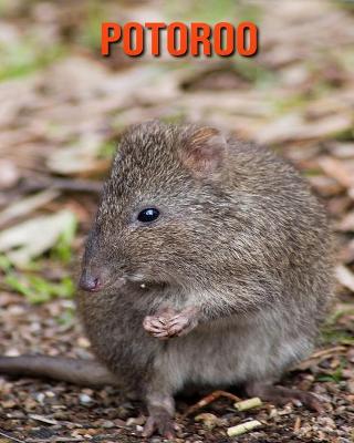 Book cover for Potoroo