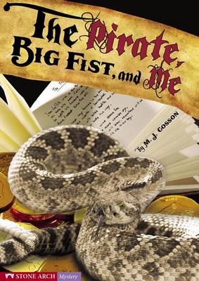 Book cover for Pirate, Big Fist, and Me