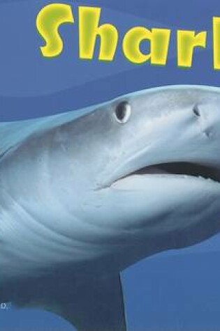 Cover of Sharks