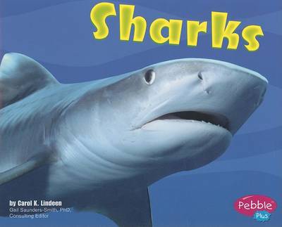 Cover of Sharks